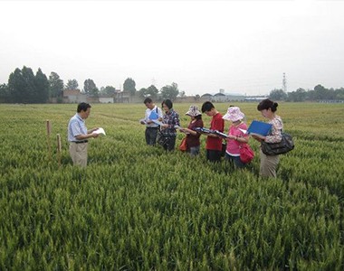 西安：市农技中心专家组到长安区检查