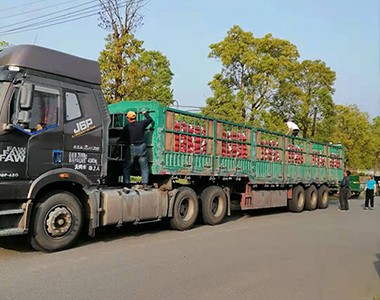 上海市崇明区绿色高产创建项目、两无化水稻种植补贴项目、上海联业圆满完成...