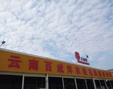 云南蒙自走访