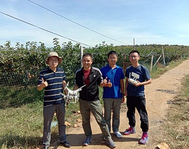 上海联业助梨农实现产销一体化