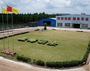 天门冬种植要点育苗管理