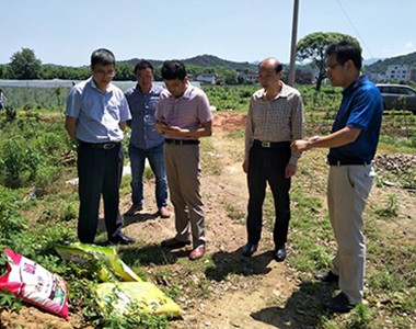 省、市、县区领导参观我公司简易“水肥一体化”项目基地