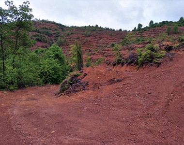 我公司人员冒雨查看水肥一体化项目基地