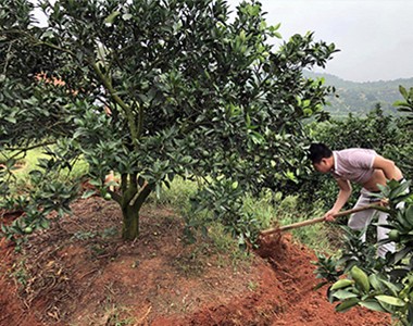 上海联业江西分公司--在多地开展试验示范工作