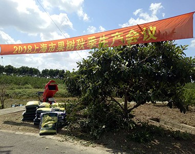 上海联业参加2018年上海市果树秋季生产会议报道