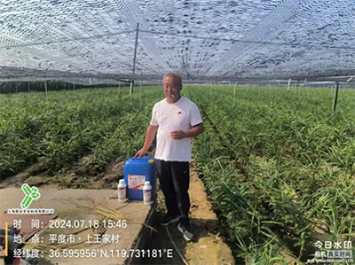 根千条套装使用效果