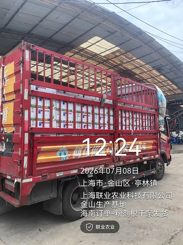 上海联业金山工厂夏季发货现...